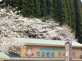 【鹿児島県の人気日帰り温泉】「花野温泉 たぬき湯」は森とせせらぎに囲まれた山間の施設。100％かけ流しの天然温泉でリラックス