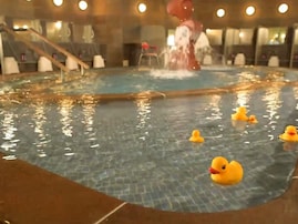 【愛媛県の人気スーパー銭湯】「たかのこの湯」は豊富な湯量と良質な新源泉が魅力の施設。多彩な湯船とサウナでリラックス