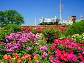 【神奈川県】入園無料！ バラ咲く港の絶景から無料の動物園まで。横浜の魅力が詰まった公園3選