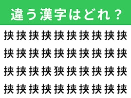 【漢字間違い探しクイズ】1分以内で挑戦しよう！「挟」の中にある別の漢字は？
