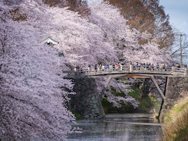 【山形県】入園無料！ 日本100名城、続百名城など…歴史好きにたまらない城跡公園3選