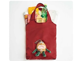 【付録】バッグチャームとしても使える◎「キウイブラザーズ レッドのぬいぐるみエコバッグ」が付いてくる！ 『InRed 2026年7月号』が6月5日発売
