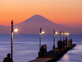 【千葉県】絶景ドライブスポット3選。日本の道100選の海岸線、夕焼け木製桟橋、東洋のドーバー断崖も