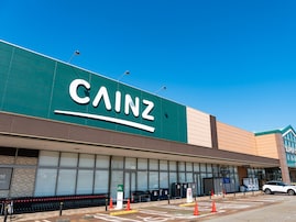 「革命ですね」カインズの“バスケットにもなる洗濯ネット”が話題。運ぶ・洗う・干すが1つで完結