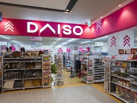 「面白いのあったから購入〜」ダイソーのポップアップランドリーバッグが話題。“さまざまな使い道”広まる