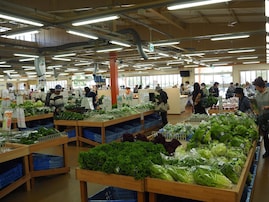 【福島県】直売所には珍しいセンターキッチンも！ 東北トップクラスの売上を誇るファーマーズマーケット2選