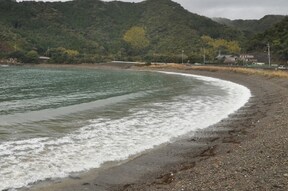 ウミガメが泳ぐ海に面した『恵比寿浜キャンプ村』