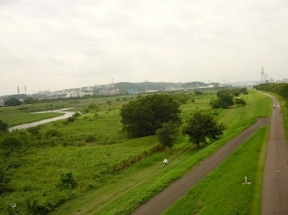 多摩川のサイクリングロード