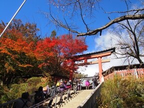 高尾山で紅葉狩り 都内秋イベント 今週末おすすめのおでかけ情報 All About オールアバウト