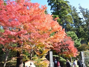 紅葉シーズンならここ！北鎌倉の円覚寺