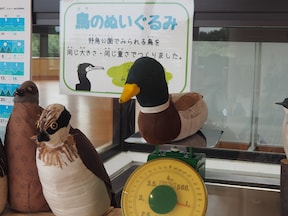 家族で行きたい 都内の散歩コース All About オールアバウト 家族で行きたい 都内の散歩コース All About オールアバウト