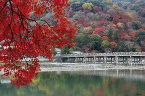 【嵐山・渡月橋】周囲の山々が紅葉に染まる風流の地