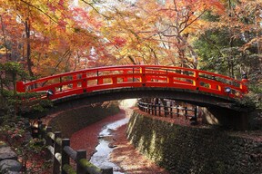 【北野天満宮】京都の新しい紅葉の名所「もみじ苑」