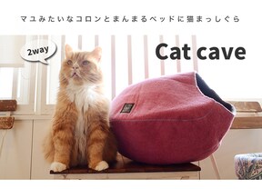 猫ちゃんも大喜び おすすめの猫用ベッド10選 All About オールアバウト