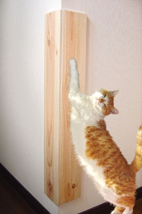 壁 柱を守る 猫の爪とぎ対策におすすめのアイテム10選 All About オールアバウト