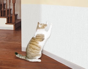壁・柱を守る！猫の爪とぎ対策におすすめのアイテム10選｜All About（オールアバウト）