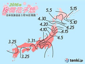 16上野公園の桜 お花見情報 開花予想 場所取り情報など All About オールアバウト