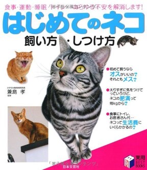 愛猫家必読 猫の飼い方がよく分かるおすすめの10冊 All About オールアバウト