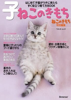 愛猫家必読 猫の飼い方がよく分かるおすすめの10冊 All About オールアバウト