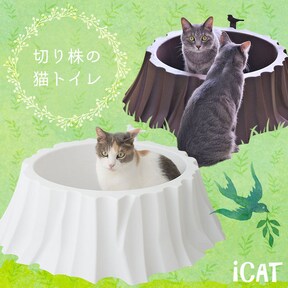 猫トイレをおしゃれに インテリアとしても素敵な猫用品7選 All About オールアバウト