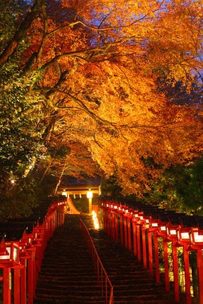 京の奥座敷で夜の紅葉狩り「貴船もみじ灯篭」
