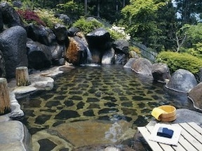日本が誇る文化 塩原温泉 那須温泉のおすすめ混浴施設10 All About オールアバウト