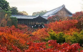 【東福寺】雄大な渓谷と紅葉の美