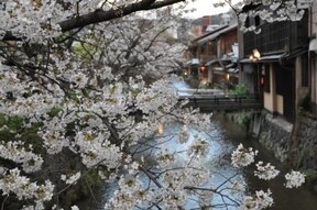 祇園新橋の京都らしい風情の中で