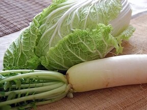 まるごとorカットで変える、白菜の保存方法