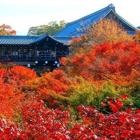 【東福寺】紅葉の季節は、橋の上での写真撮影が禁止に！
