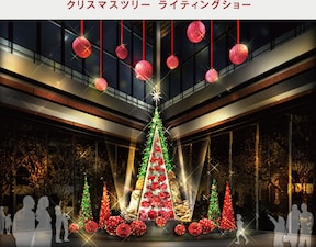 Marunouchi Bright Christmas 2017 -Blooming Anniversary～
