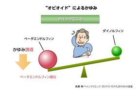 飲食が多い時期は要注意 肝臓をいたわる食べ方 飲み方 Pr All About オールアバウト