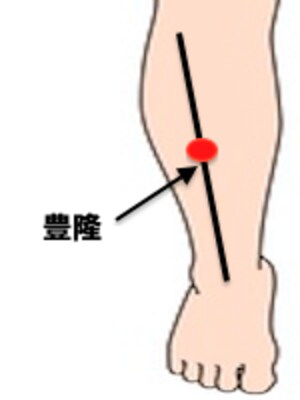 胃のエネルギーを整える効果がある豊隆