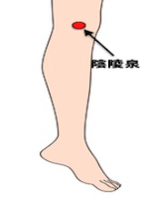 痰を取り除く効果があるとされる陰稜泉