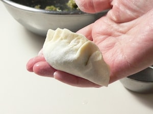 餃子の包み方のコツ 簡単に手早く綺麗に包む基本の方法 毎日のお助けレシピ All About