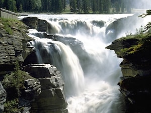 吸い込まれそうな圧倒的な水量！アサバスカ滝