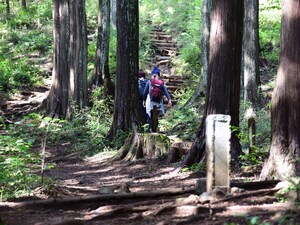 3つの山を歩くハイキングコース、高水三山