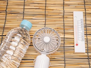 昨年夏の電気代1800円「公営住宅にエアコンなし」67歳女性のひとり暮らし