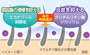 paragraph_2_img_0