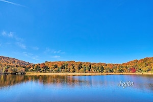 東北で絶景の紅葉狩り おすすめ紅葉名所30選 All About オールアバウト