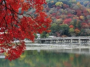 秋の渓谷美を楽しむ「保津川下り」