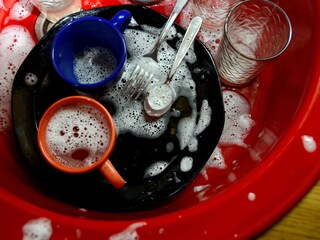 食器洗いはすすぎゼロ、髪を洗うのは「週1でいい」……日本人が絶句するヨーロッパの汚（？）習慣