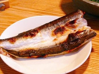 ギフト 干物セット 干物 ひもの 魚の干物 一夜干し 石川県産 7