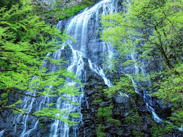 夏に行きたい「福井県の穴場秘境」ランキング！ 2位「龍双ヶ滝」を僅差で抑えた1位は？
