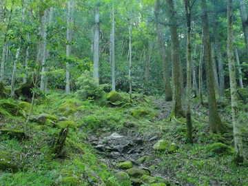 好き＆行ってみたい「広島県のダム」ランキング！ 「飯ノ山ダム」を大差で抑えた1位は？【2025年調査】