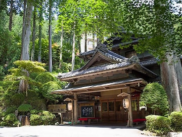 【岐阜県の人気ホテル】「下呂温泉 湯之島館」は国の登録有形文化財で「美人の湯」を堪能できる