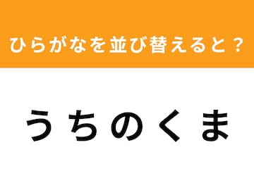 【アナグラムクイズ】「う ち の く ま」を並び替えると？ 1分以内で挑戦しよう