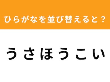 【アナグラムクイズ】解けると爽快！ 「う さ ほ う こ い」を並び替えると？ 1分以内で挑戦しよう