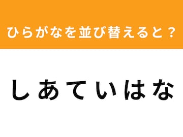 【アナグラムクイズ】1分以内で挑戦しよう！「し あ て い は な」を並び替えると？