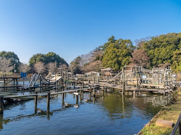 【千葉県】入園無料！ 日本最大級のアスレチック、飛行機が見える公園まで。休日に行きたい公園3選